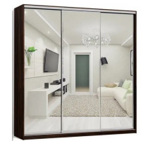 Шкаф-купе три фасада зеркало (труба) 210х60х220 см.