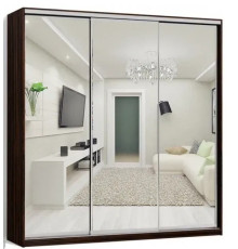 Шкаф-купе три фасада зеркало (труба) 210х60х220 см.